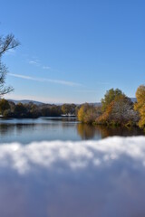 Obraz premium See-Winter-Bäume-Natur-Landschaft