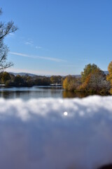 Obraz premium See-Winter-Bäume-Natur-Landschaft