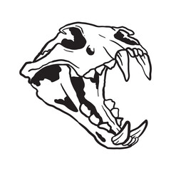 Cat Skull Illustration Coloring Page