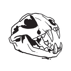 Cat Skull Illustration Coloring Page