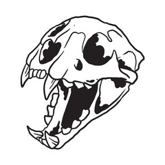 Cat Skull Illustration Coloring Page
