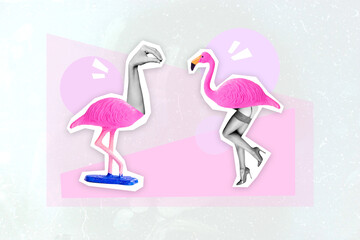Composite collage of two flamingo black white gamma hands instead head girls slim legs high heels isolated on drawing background