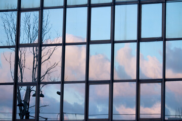 clouds, tree and street lamp reflected in glass window