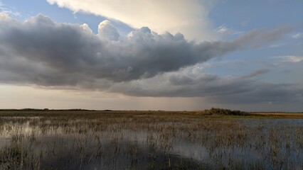 Everglades