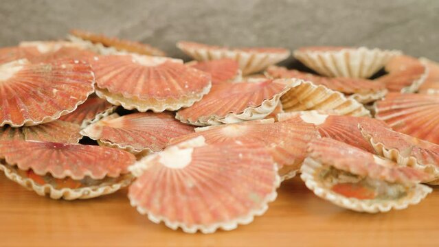Pile of alive pink-colored scallops open and close valve muscles lying on wooden table surface at bright studio illumination macro