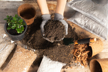 Gardening concept. A young woman mixes potting soil, prepares the soil for planting vegetables and herbs in the house, mixes potting soil, perlite, vermiculite, peat, worm, coconut flakes, rice husk. 