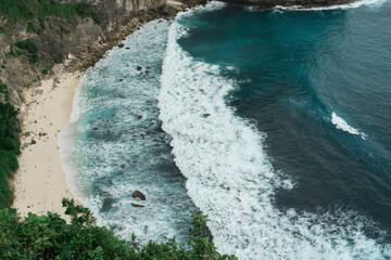 Palm trees and rocks on the beach with waves in ocean