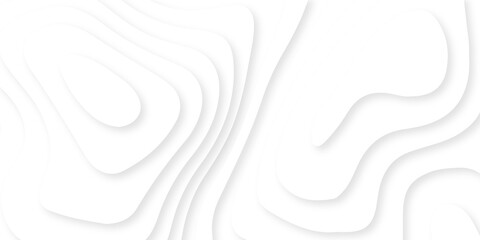 Abstract wavy line 3d paper cut white background. Topographic canyon geometric map relief texture with curved layers and shadow. Abstract realistic papercut decoration textured with wavy layers