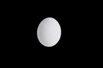 Egg isolate on black background with place for text