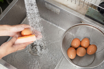 Egg wash, Egg wash allows bacteria to penetrate the shell easily into the egg, Salmonella bacteria,...