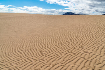 sand dunes in the natural park of corralejo (Parque Natural de Corralejo)