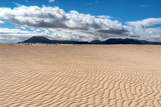 sand dunes in the natural park of corralejo (Parque Natural de Corralejo)