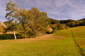 colori autunnali appennino Tosco Emiliano. Italy
