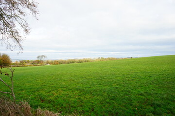 The Dark Hedges, Avenue of Beech Trees along Bregagh Road in County Antrim, Northern Ireland
