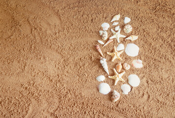 Seashells and starfishes as a border on sand.
