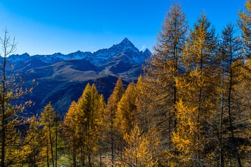 Tutto l'oro del Monviso. Ostana uno dei borghi pi&ugrave; belli d'Italia
