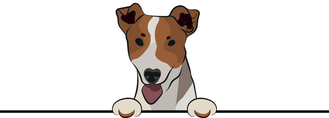 Funny Jack Russell terrier dog with paws over a white wall, in a pocket vector illustration. Funny dog smiling. Cute dog head on a white background. Hand-drawn mascot. Smiling dog muzzle. BFF.