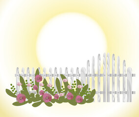 Wooden Silvery Picket Fence. Isolated wooden silvery gate and fence. Solar circle background. Wooden Fence with summer flowers. Wooden Picket Fence. Morning sunrise on the background. Evening sunset o