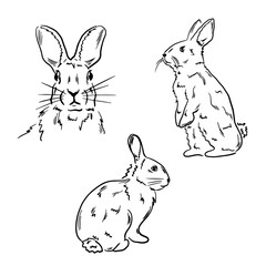Black set of vector hand drawn sketched rabbits isolated on white background