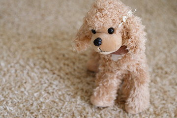 Cute Puppy Pet Dog Toy. Halloween Birthday Gift for for Children. Selective focus