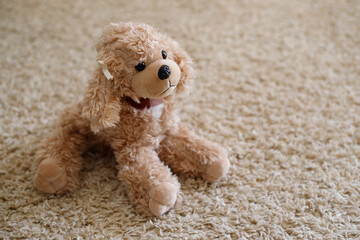 Cute Puppy Pet Dog Toy. Halloween Birthday Gift for for Children. Selective focus