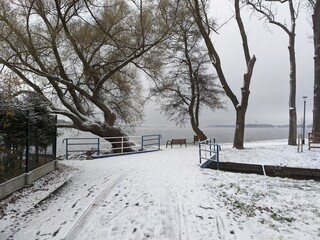 winter in the park