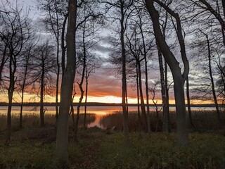 sunrise in the forest © Mirosaw