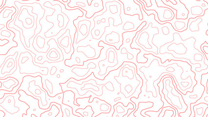 Topographic map design. Abstract background with lines and circles. Colorful concept graphic element and geography scheme.