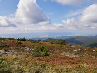 Śnieżnik Polska góry