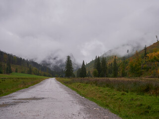 Fototapeta na wymiar Fog in the mountains in autumn, Chochołowska Valley, Tatry, Poland 