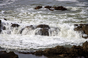 Waves breaking against rocks along the Pacific coast