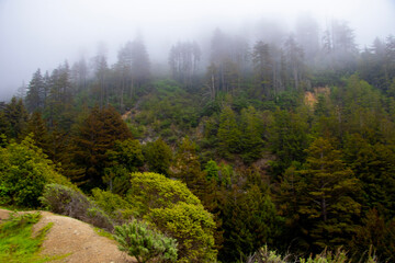 View of California coastal mountains on a foggy day