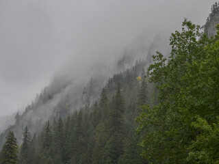 Fog in the mountains in autumn, Chochołowska Valley, Tatry, Poland 