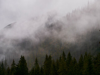 Fototapeta na wymiar Peak summit in the fog - Kasprowy Wierch