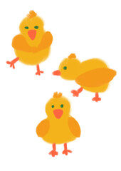 Set of cute yellow cartoon chicks