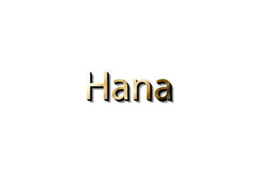 HANA 3D NAME