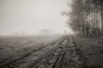Mgła na wiejskiej drodze - obrazy, fototapety, plakaty