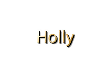 HOLLY 3D MOCKUP
