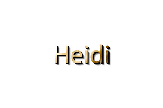 HEIDI 3D MOCKUP