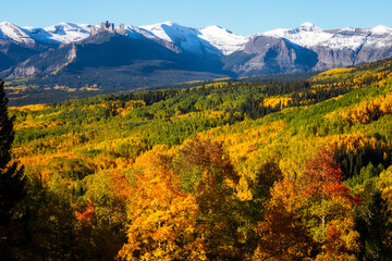 Big Autumn View