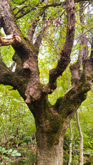 colori e natura della Toscana Senese