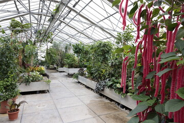 gewächshaus glashaus oeschberg koppigen bern