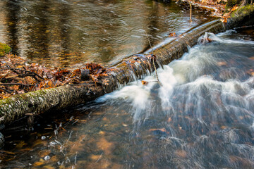 water cascading over a  down branch