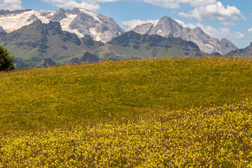 Fototapeta na wymiar Dolomiti Alps in Alta Badia landscape view