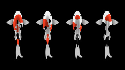 Illustration of Koi fish on black