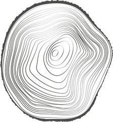 Fototapeta premium Tree rings wooden log. Circle annual stump texture. Line timber slices.