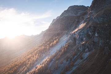 Sloping rocky mountain covered with vegetation under bright sunlight