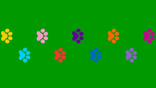 Animated cat colorful tracks. A cat's paw print appears take turns. Looped video. Vector flat illustration isolated on the green background.