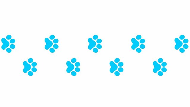 Animated cat blue tracks. A cat's paw print appears take turns. Looped video. Vector flat illustration isolated on the white background
