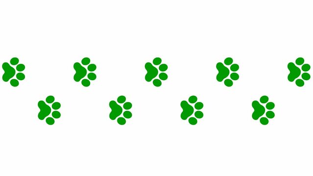 Animated cat green tracks. A cat's paw print appears take turns. Looped video. Vector flat illustration isolated on the white background